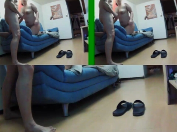 dombull1  15-12-2021 Recorded Video Cam